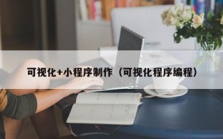 漳浦可视化+小程序制作（可视化程序编程）